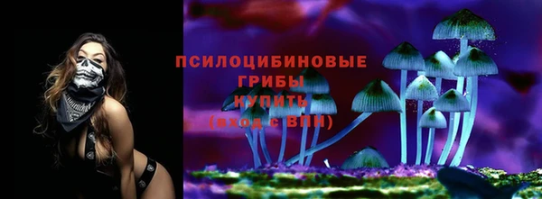 прущая мука Белоозёрский