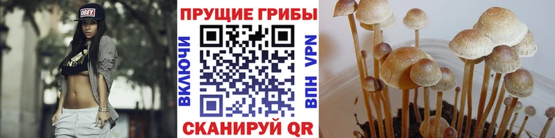 Псилоцибиновые грибы мухоморы  наркошоп  Воркута 