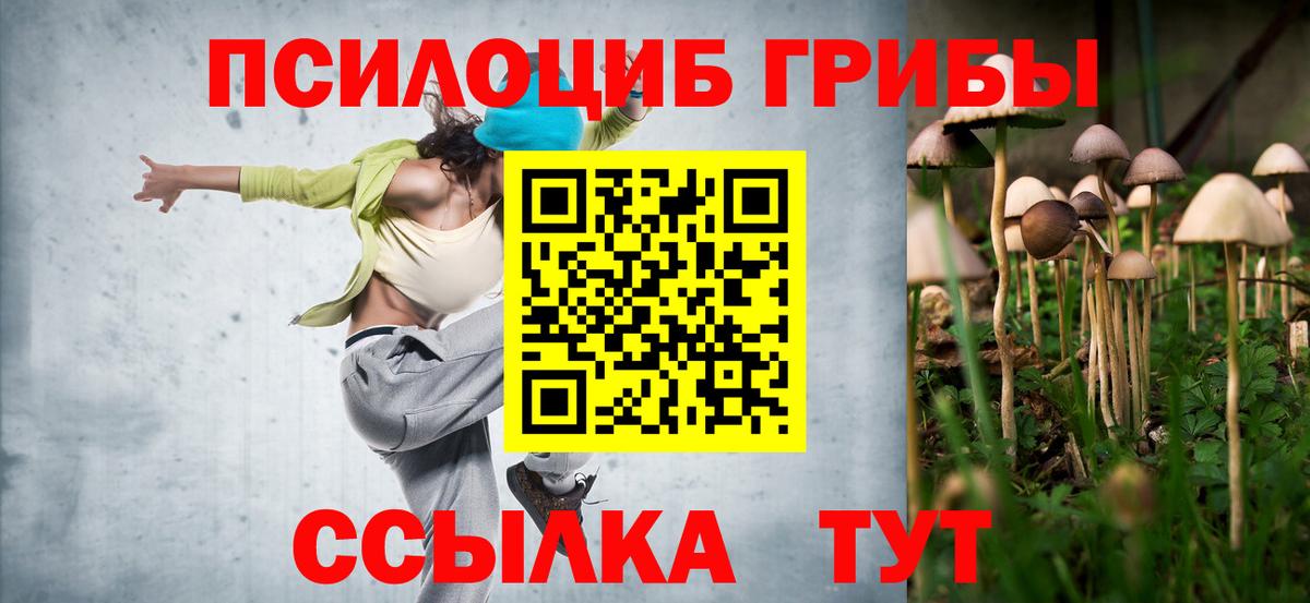 Псилоцибиновые грибы Cubensis  Воркута 